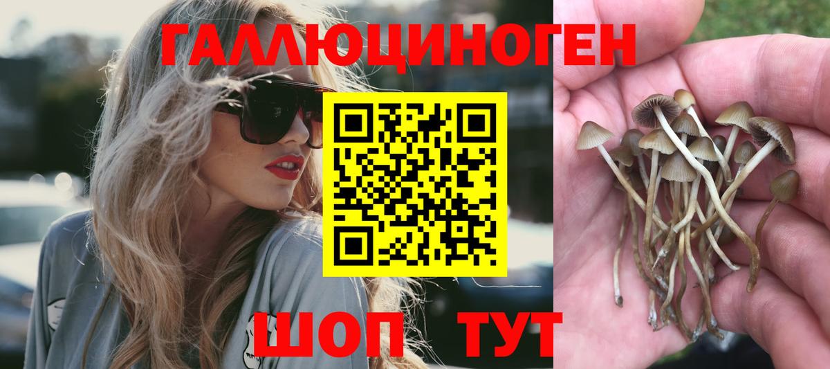 Бирск  Галлюциногенные грибы прущие грибы  Псилоцибиновые грибы Psilocybe  Вход с VPN 